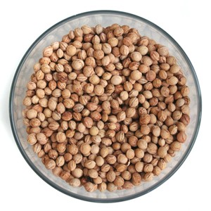 F�LLMATERIAL Kirschkerne sauer