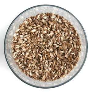 F�llmaterial DINKELSPELZEN