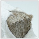 Füllmaterial KOKOSKERN Füllmaterial KOKOSKERN